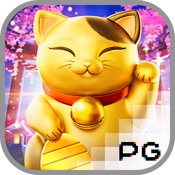 슬롯커뮤니티_slotcomu_neko